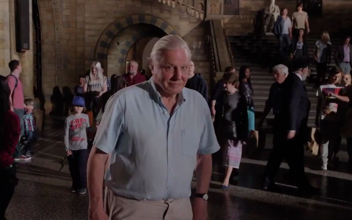 [图]大卫·爱登堡的自然史博物馆之旅 David Attenborough's Natural History Museum Alive