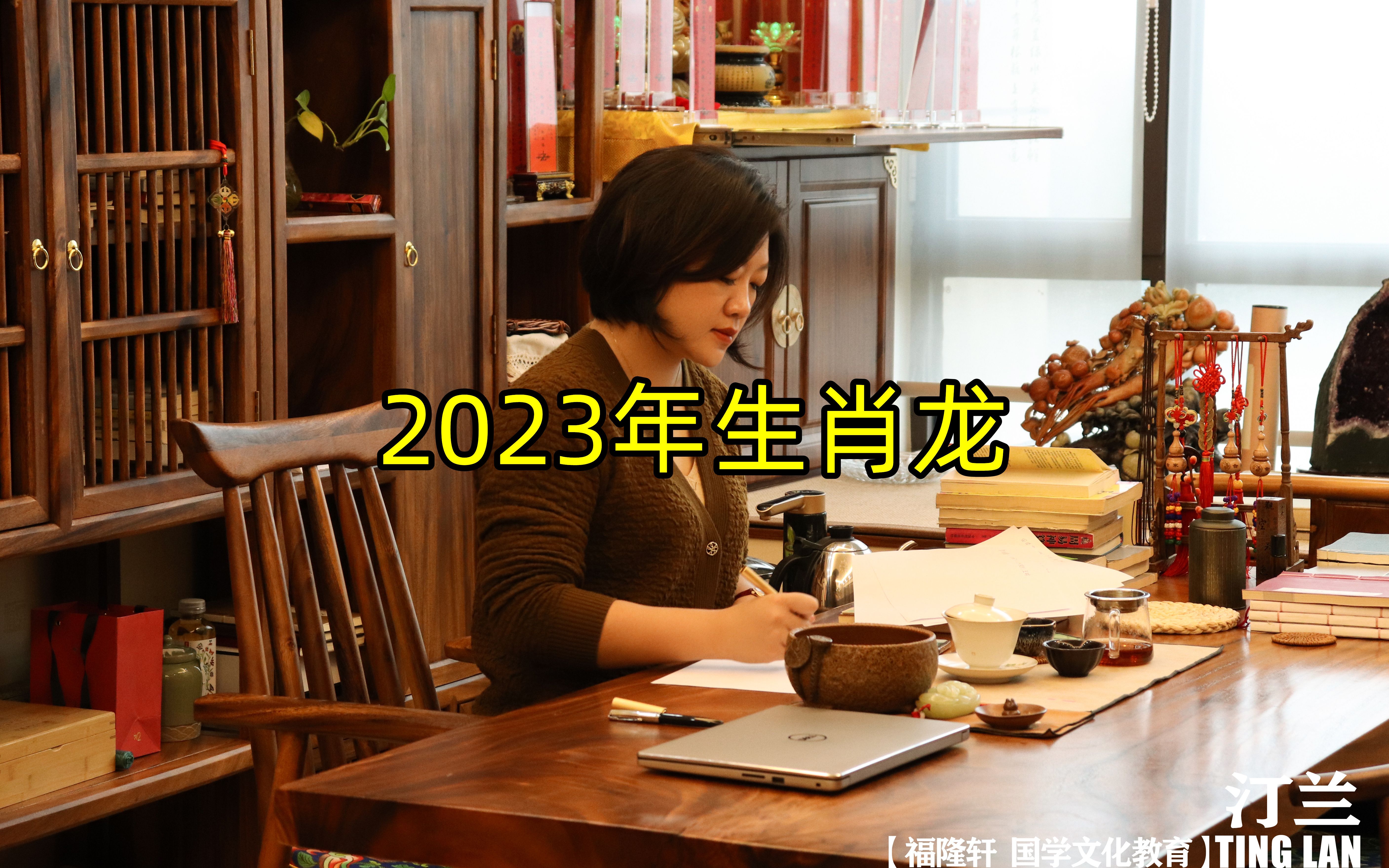 2023年的生肖龙~哔哩哔哩bilibili