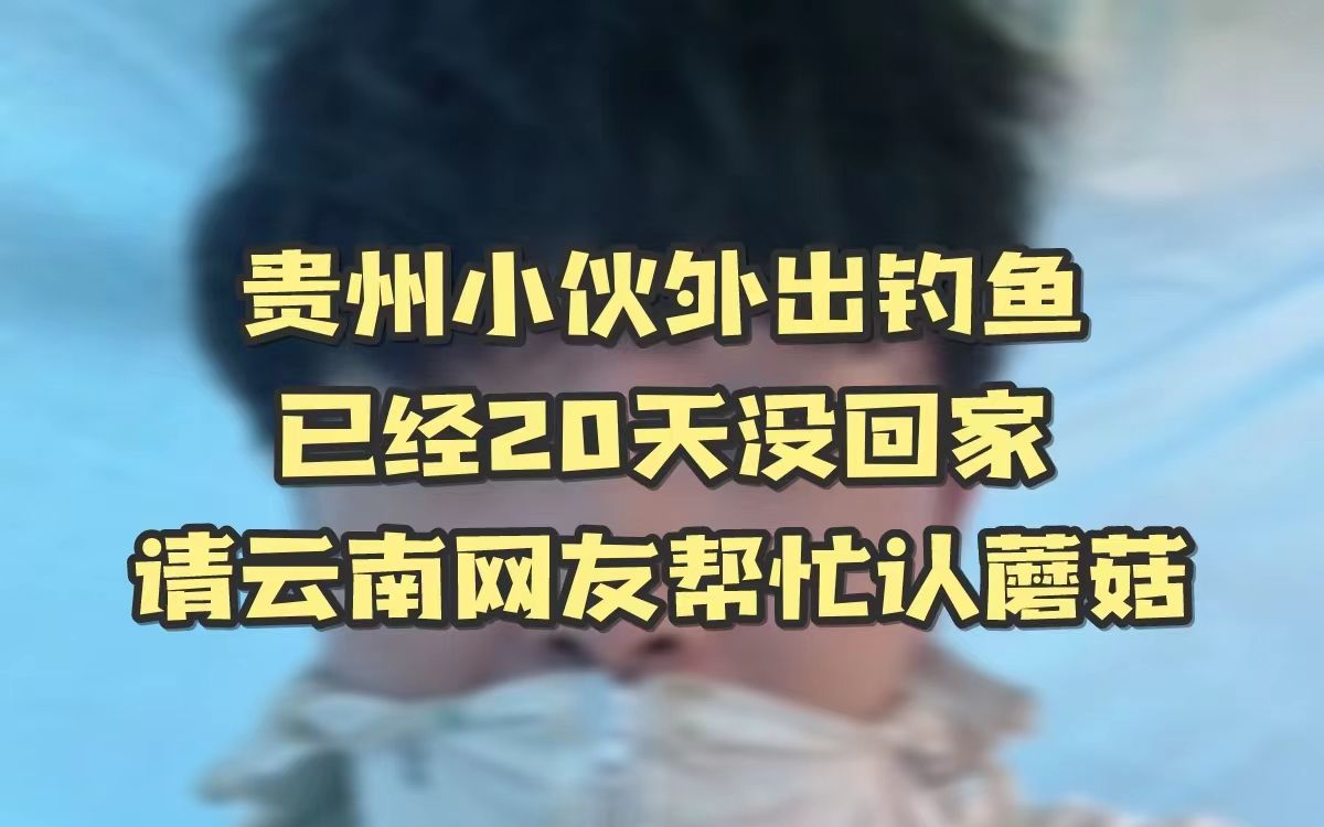 小伙钓鱼已经20天回不去家了,请云南的网友帮认一下蘑菇“吃蘑菇我只认云南哈,专业的”哔哩哔哩bilibili