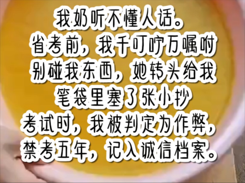 我奶听不懂人话.省考前,我千叮咛万嘱咐别碰我东西,她转头给我笔袋里塞了张小抄考试时,我被判定为作弊,禁考五年,记入诚信档案.哔哩哔哩bilibili