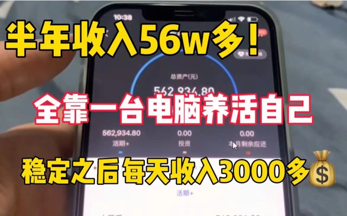 [图]半年收入56W多，稳定之后每天收入3000多，全靠一台电脑无脑搬砖赚钱养活自己！干货分享！