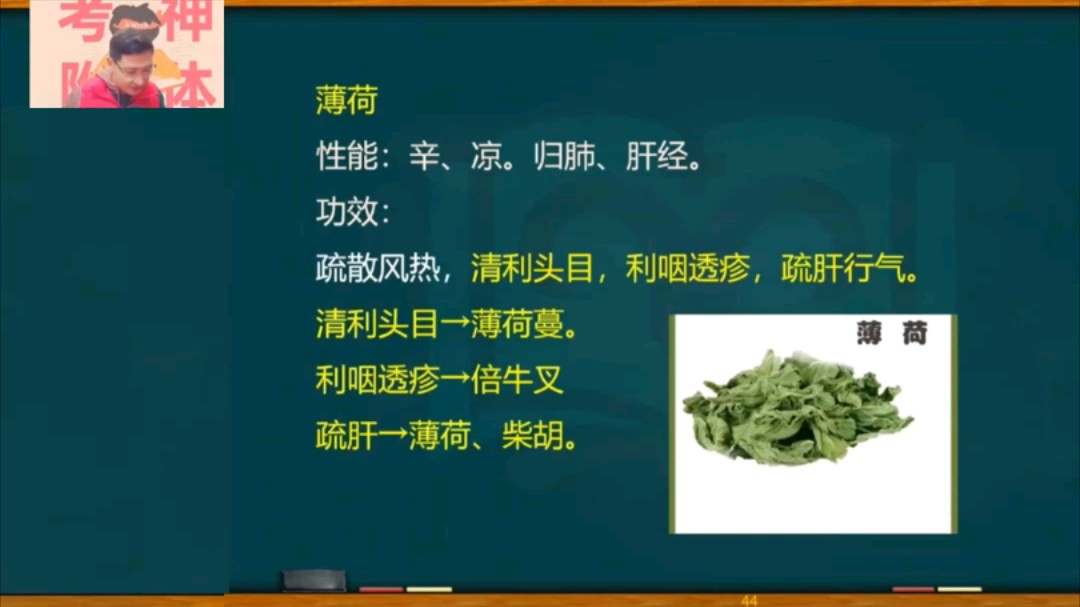 烁哥带你学中药:薄荷;关注我每天坚持分享知识 中医执业医师 中医助理医师 #中药学 #中医助理医师考试 #中医执业医师考试哔哩哔哩bilibili