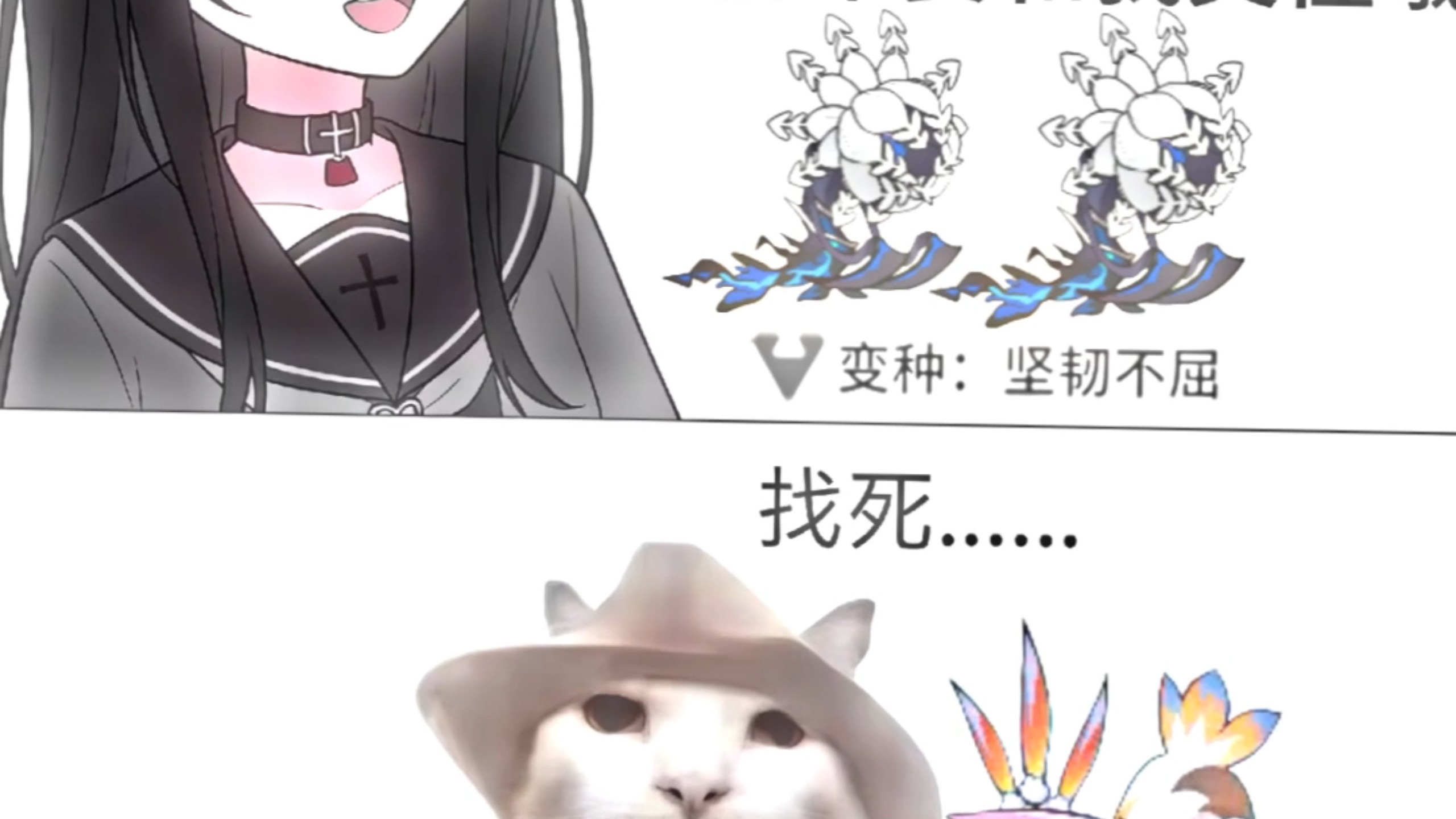 鸟哥不是区