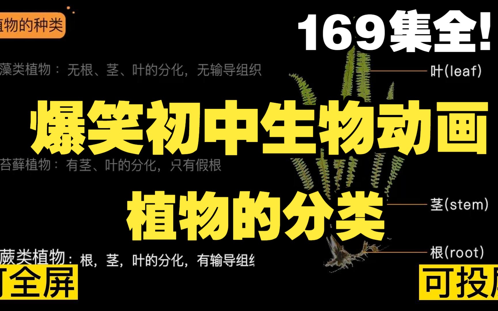 [图]169集全可分享 爆笑初中生物动画 植物的分类 孩子一看就明白