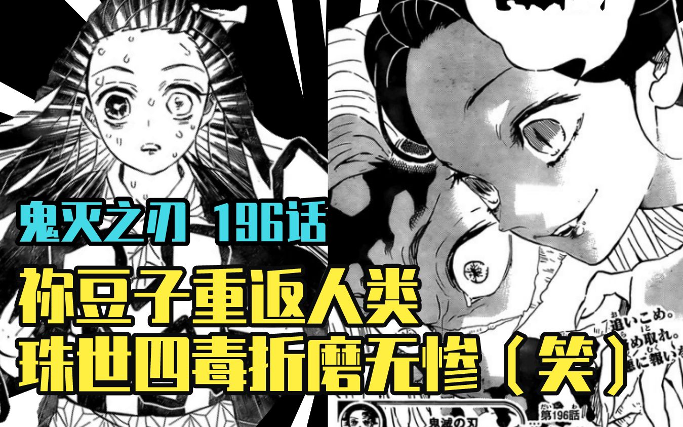 【鬼灭之刃漫画解说】漫画196 祢豆子重返成人 珠世四毒折磨无惨哔哩哔哩bilibili