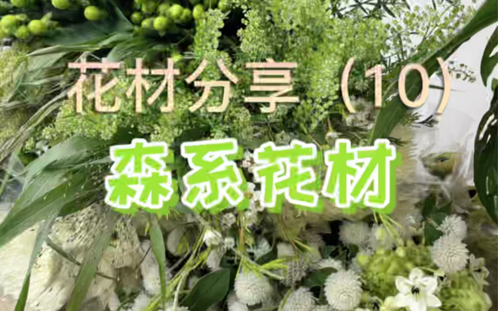 花材分享(10)森系花材哔哩哔哩bilibili