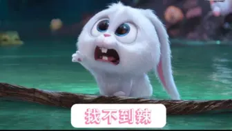 【苏新皓｜爱宠大机密】铲言铲语第一弹～