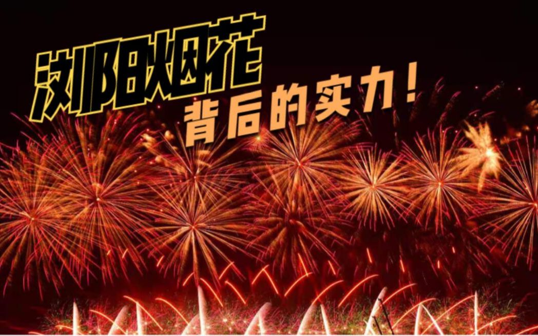 浏阳烟花再次亮相,惊艳全国网友,浏阳烟花的实力究竟有多强?哔哩哔哩bilibili