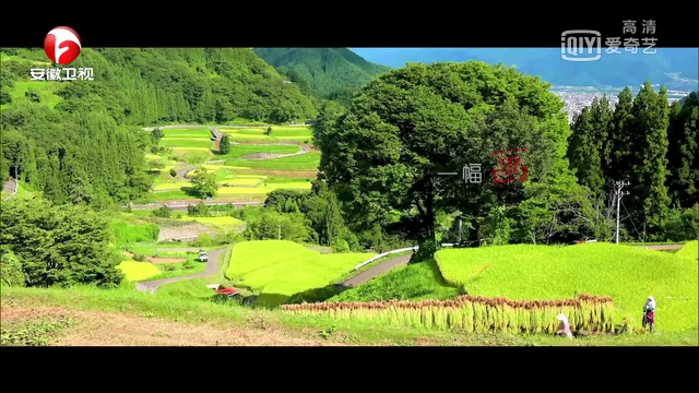 家风中华 沈广隆剑铺 龙泉宝剑哔哩哔哩bilibili