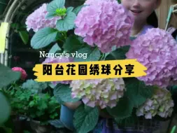 Descargar video: 大海蓝---阳台花园超省心绣球