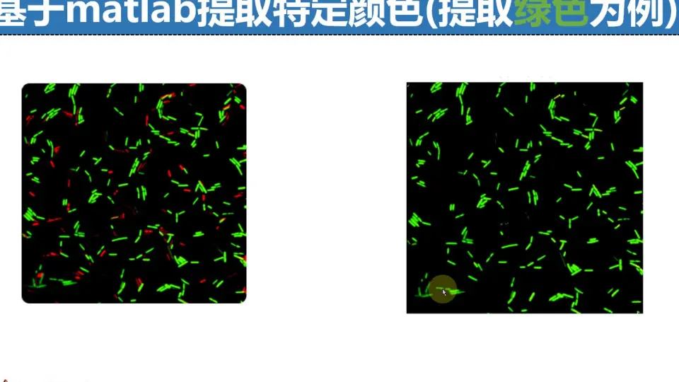 【Matlab在生物信息学中的应用】:揭秘生命科学背后的数学力量