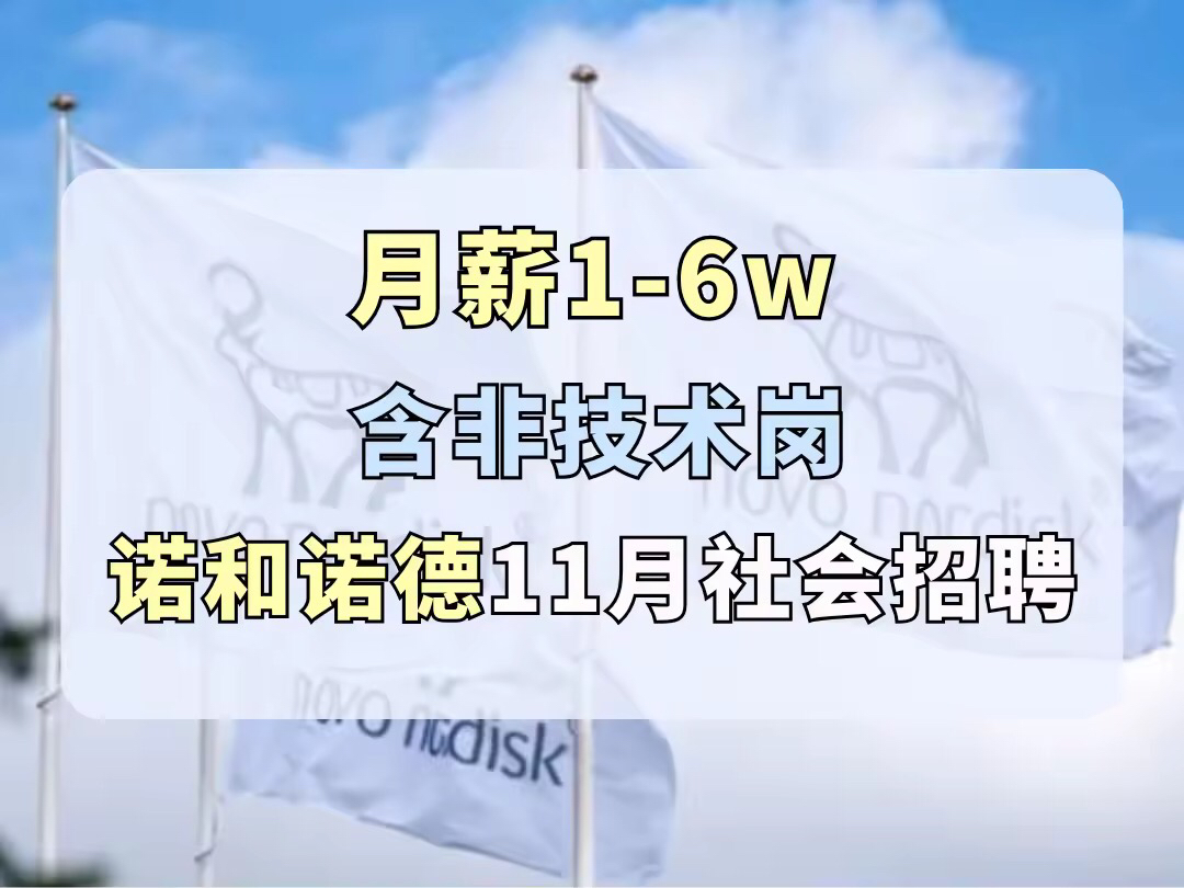 医疗外企回春,月薪1w6w,13薪,诺和诺德社会招聘,丹麦制药巨头,带薪休假,团队旅游,神仙外企哔哩哔哩bilibili