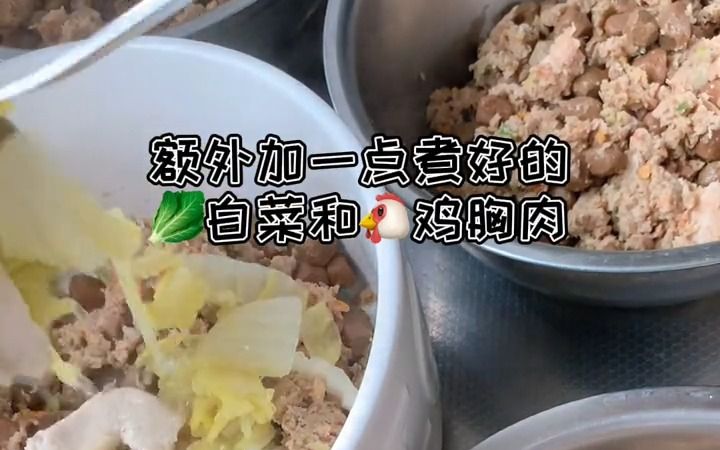 坚持吃新鲜的饭~要健康长寿哦!哔哩哔哩bilibili