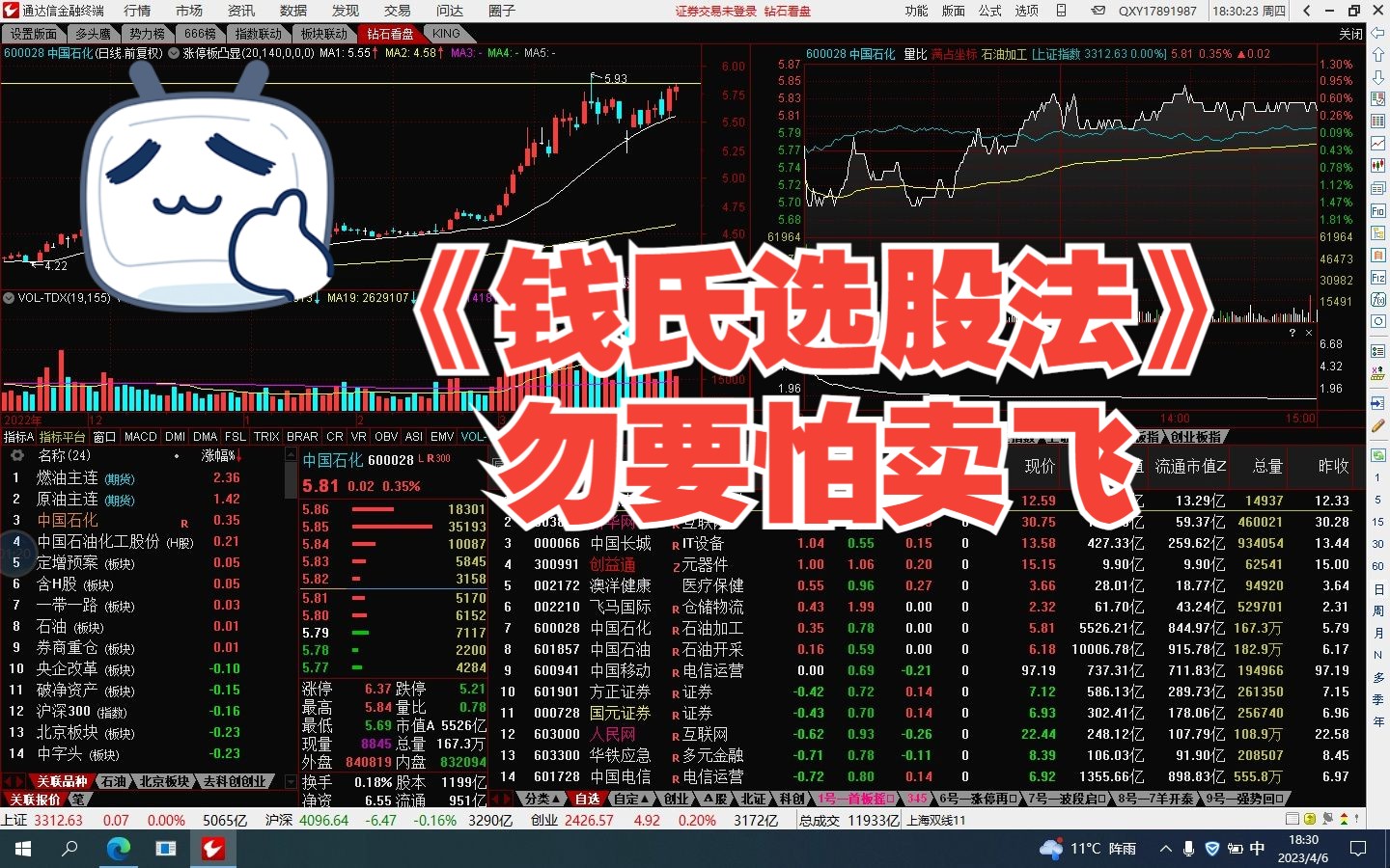 《钱氏选股法》勿要怕卖飞哔哩哔哩bilibili