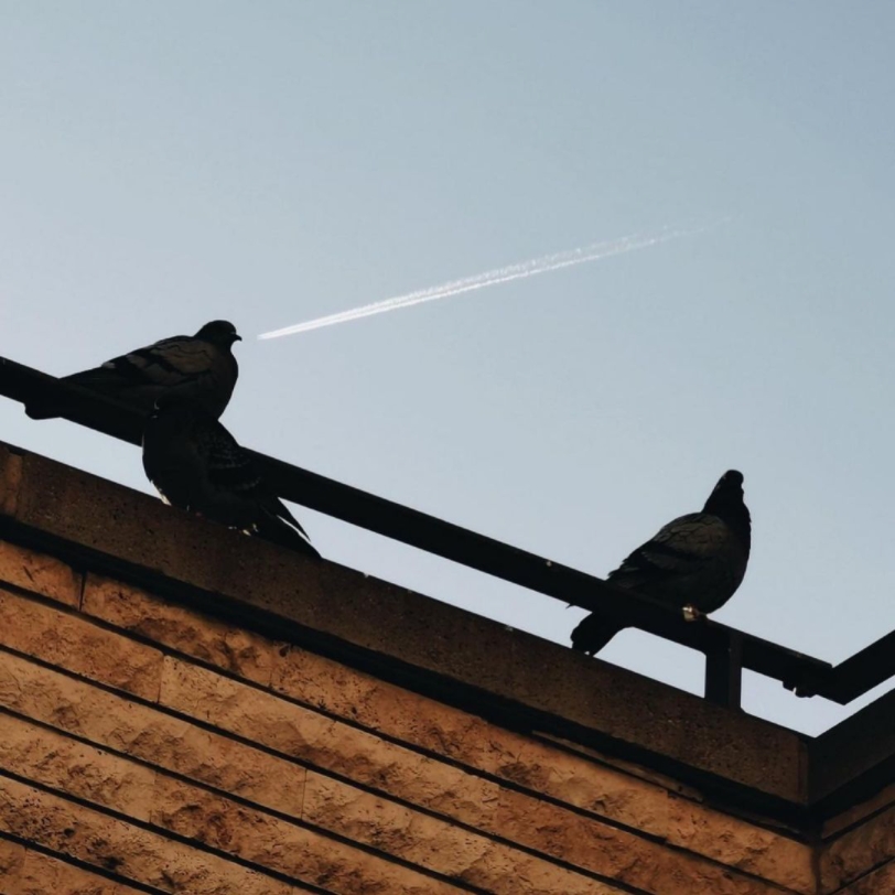 「审美与灵感积累」摄影韩松作品集欣赏