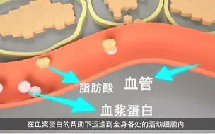 Tải video: 一分钟告诉你脂肪是如何消耗的