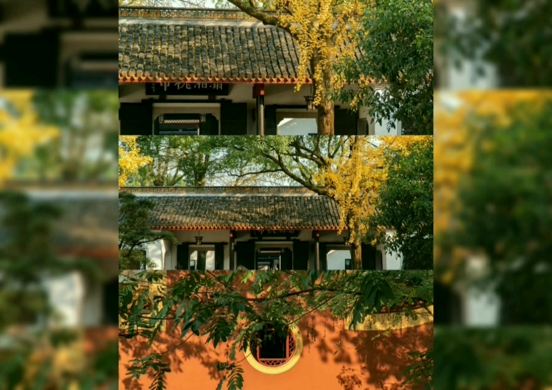 湖南大学的"岳麓书院"导游词,醉心在火红的世界体验秋的深邃 感受冬的