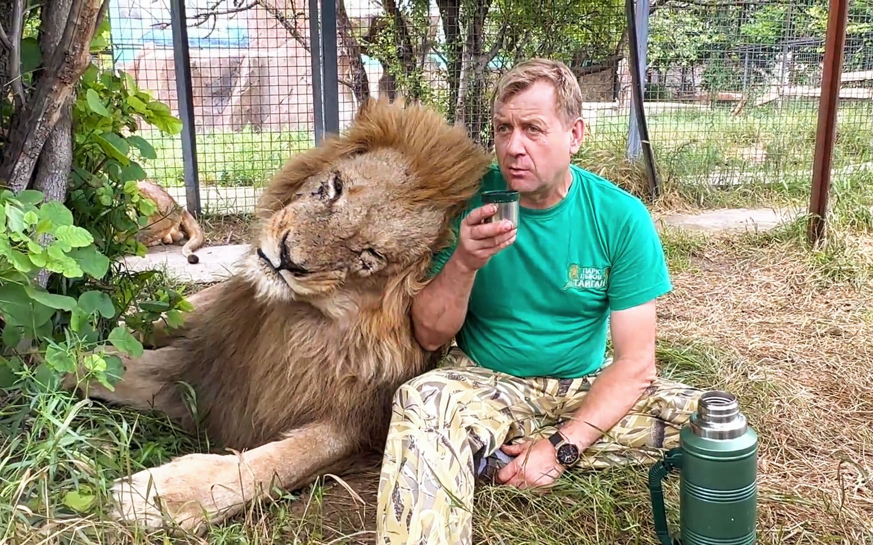 狮王"奇克":饮茶先啦!