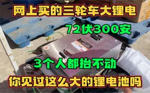 花一万多网购的锂电池就是牛 3个人都抬不动 据说有21度电