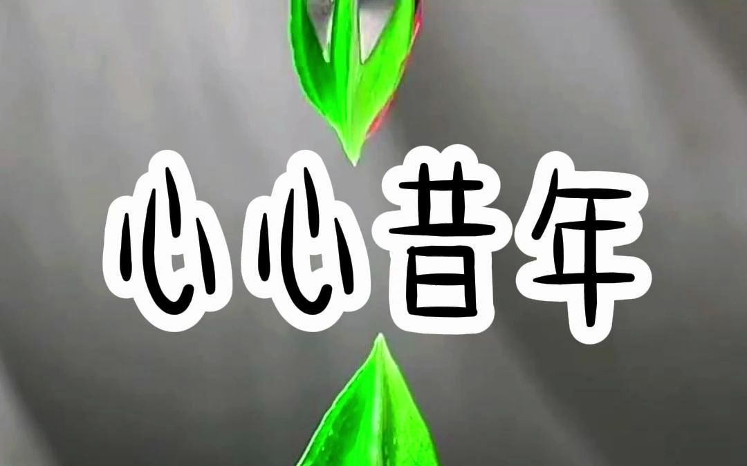 心心昔年哔哩哔哩bilibili