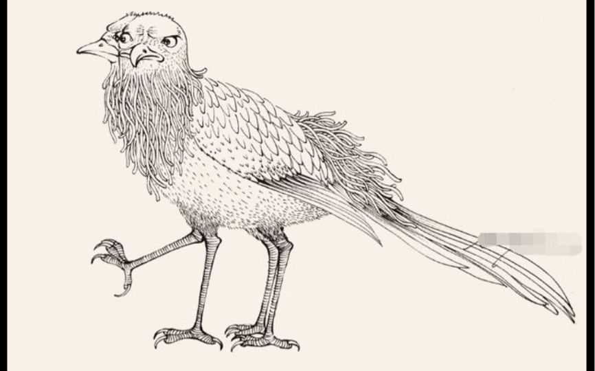 中国古神话传说——鸓鸟