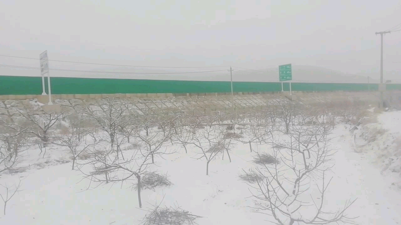 [图]踏雪寻歌