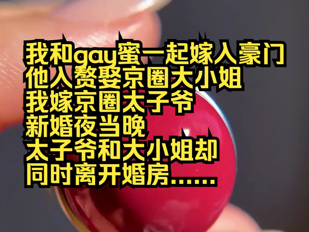 双双留白(我和 gay 蜜一起嫁入豪门,他入赘娶京圈大小姐,我嫁京圈太子