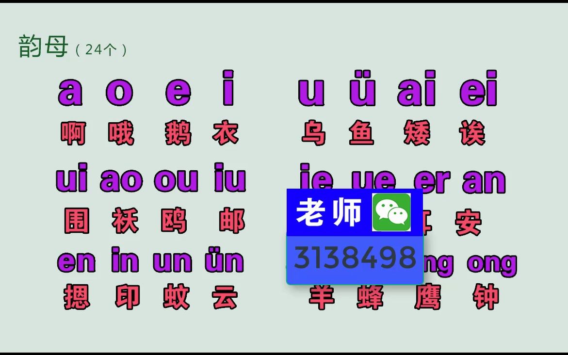 成人拼音打字,零基礎學習拼音拼讀教學視頻