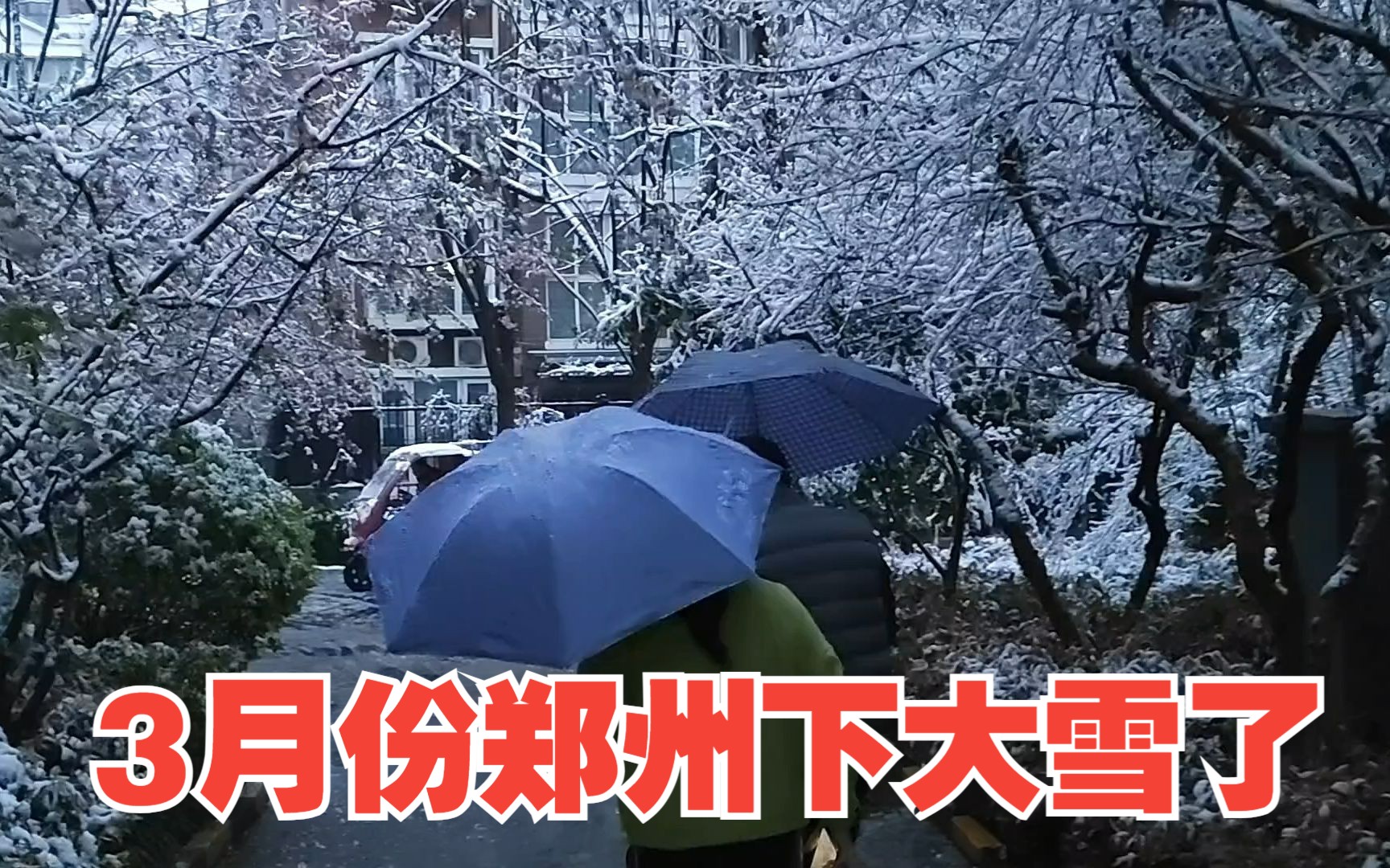 河南多地下大雪,2023年第二场雪,实拍一家4口真实的打工生活哔哩哔哩bilibili