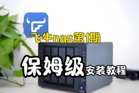 Video herunterladen: 再见黑群晖！飞牛 nas 安装教程。这款国产nas系统也太好用了吧！