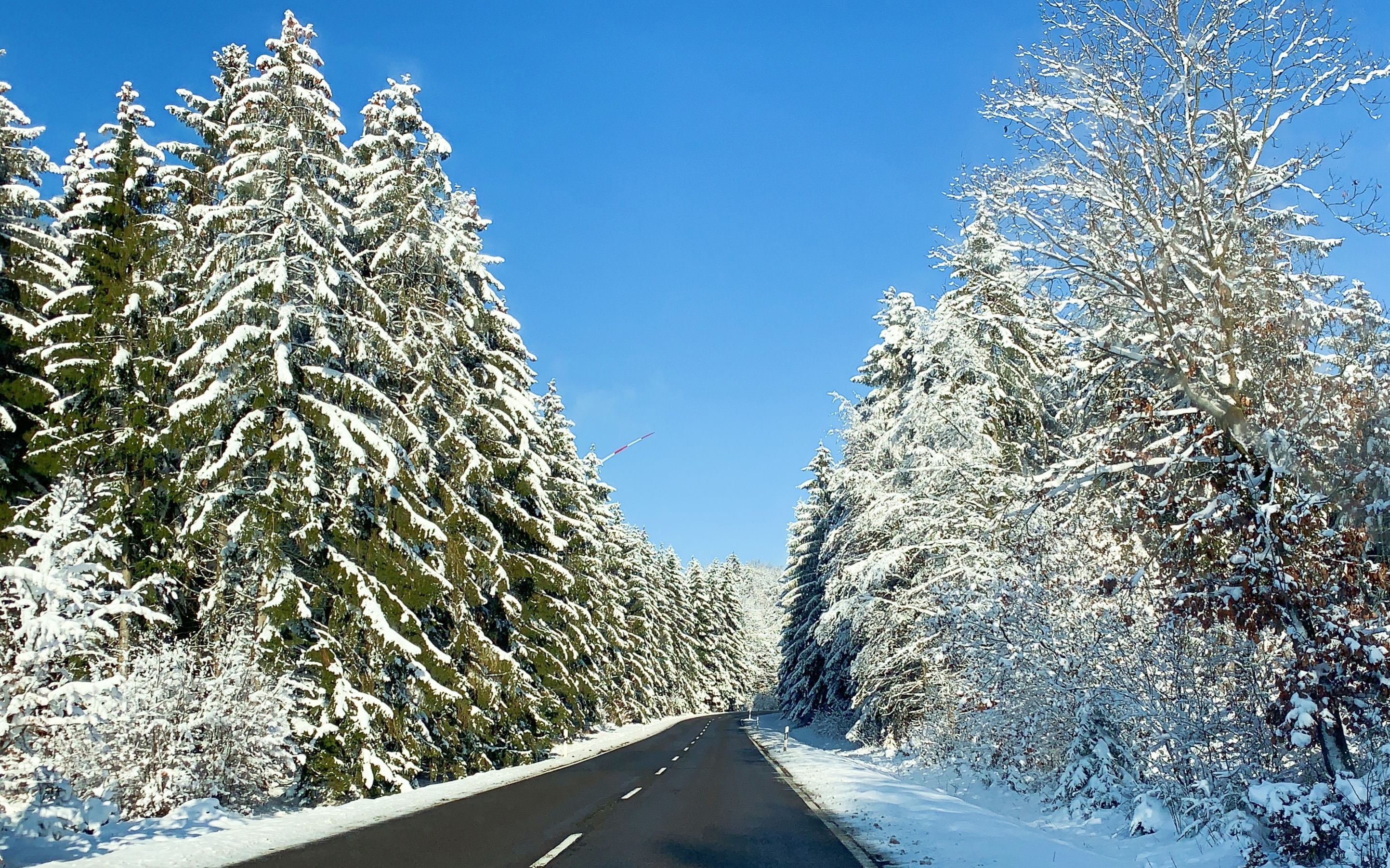 每一帧都想做屏保的绝美德国公路雪景 | yesmaggie_哔哩哔哩_bilibili