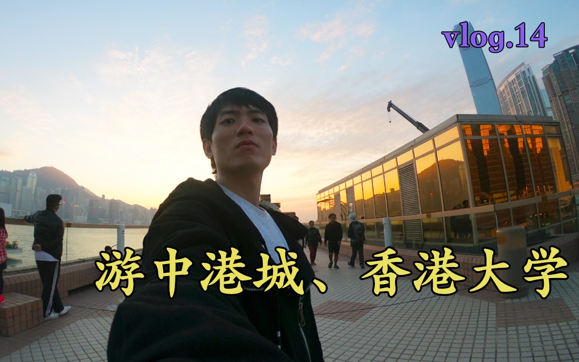 中港城夕阳抬头见鹰、香港大学清晨 景点一般的美丽学校 vlog.14哔哩哔哩bilibili