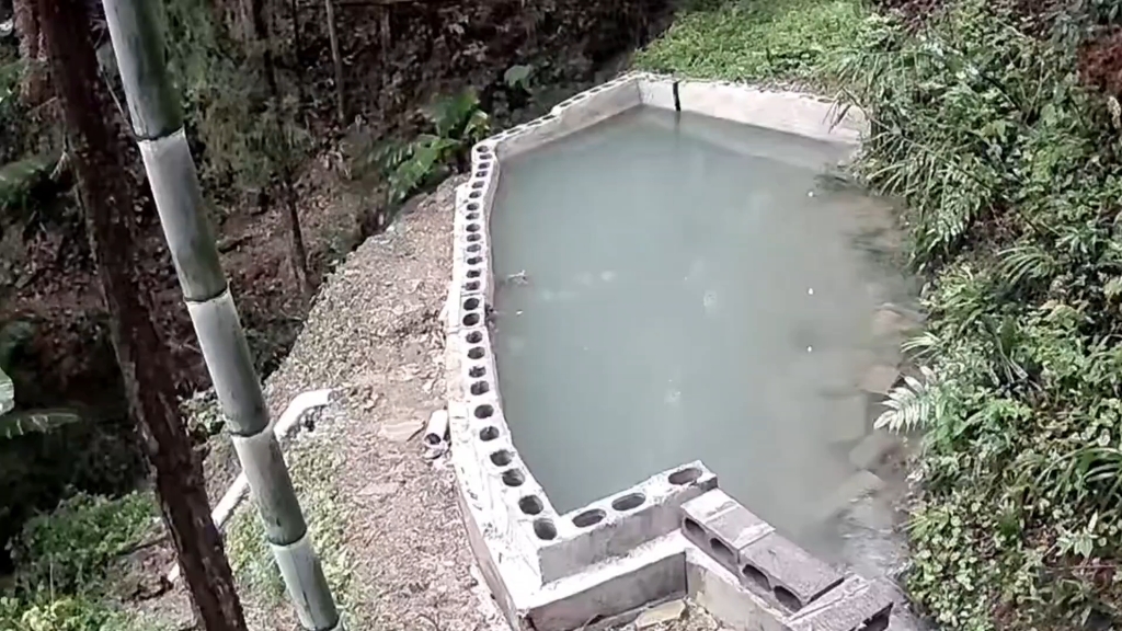 水塘突然垮塌，监控拍下惊险全过程