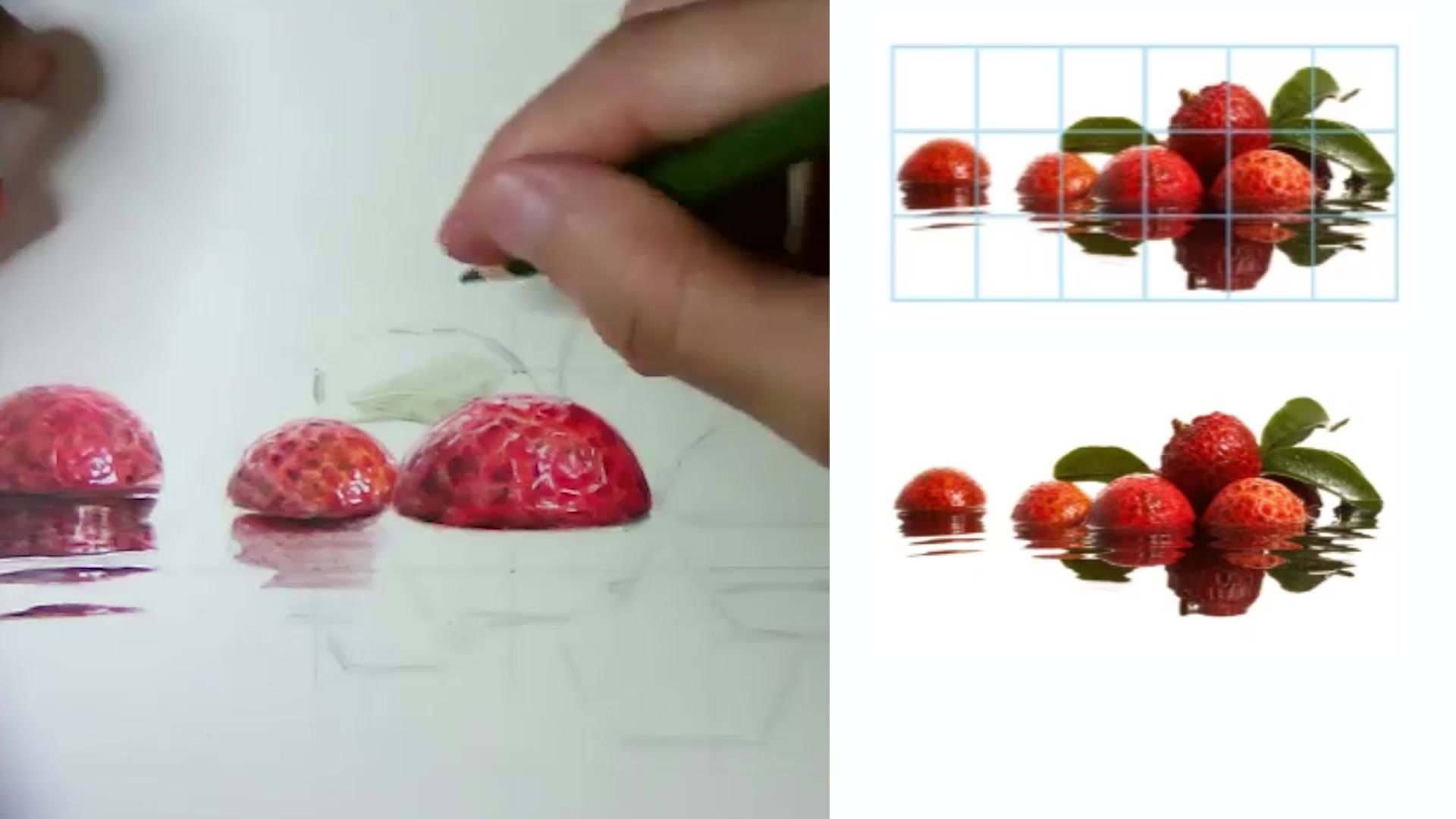 【手绘】【彩铅】水面荔枝零基础教学(下)