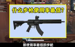 Download Video: 什么步枪使用率最低？不是MK47，而是人气极低的它