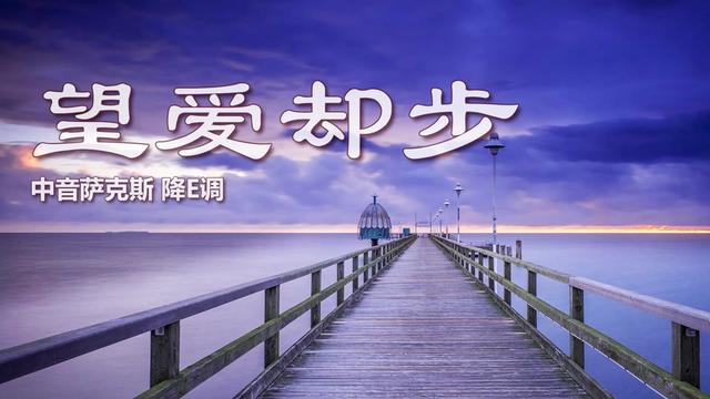 萨克斯《望爱却步》,一曲伤感流行情歌,旋律深情悠扬美妙动听!