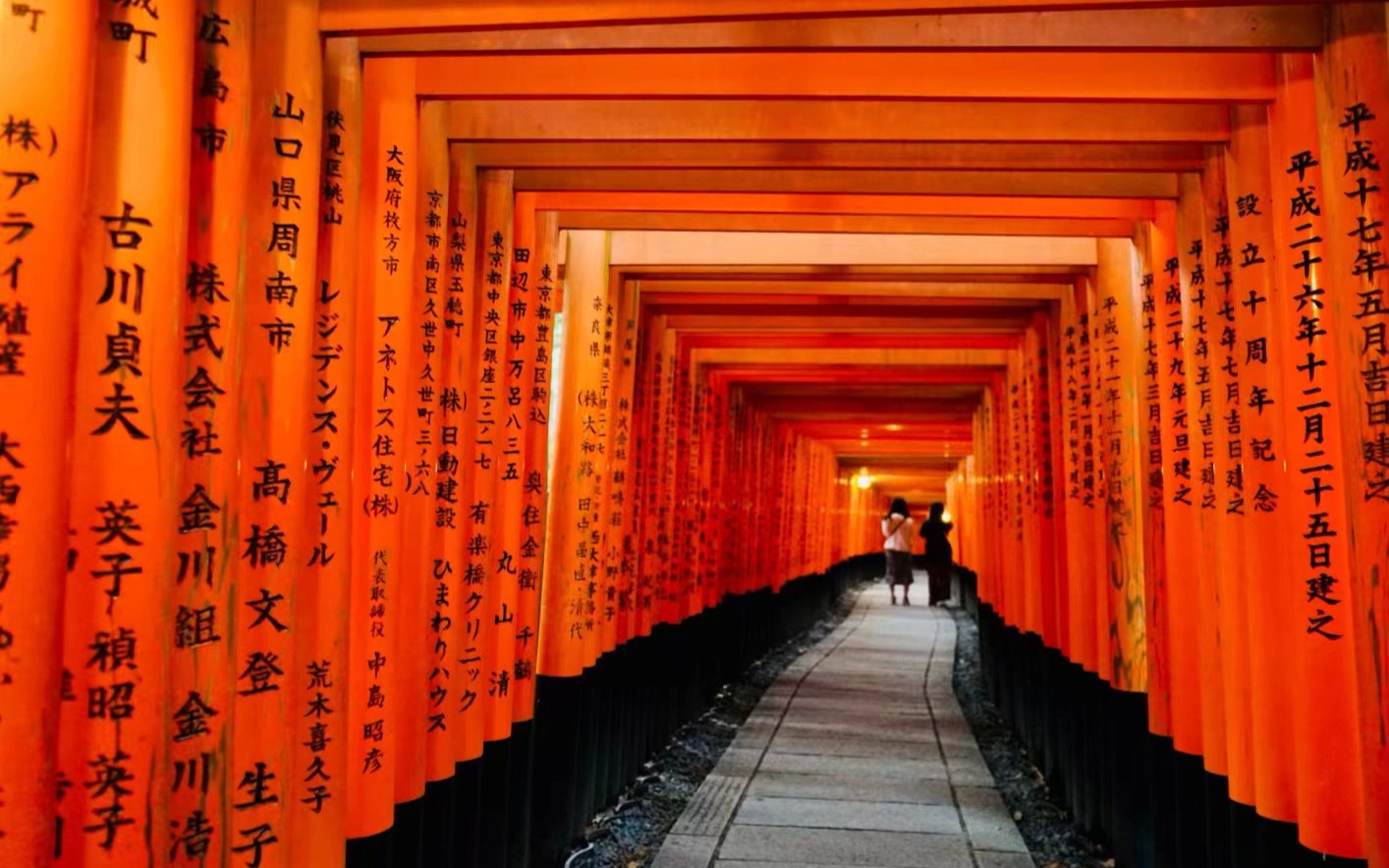 2018日本行_哔哩哔哩 (゜-゜)つロ 干杯~-bilibili