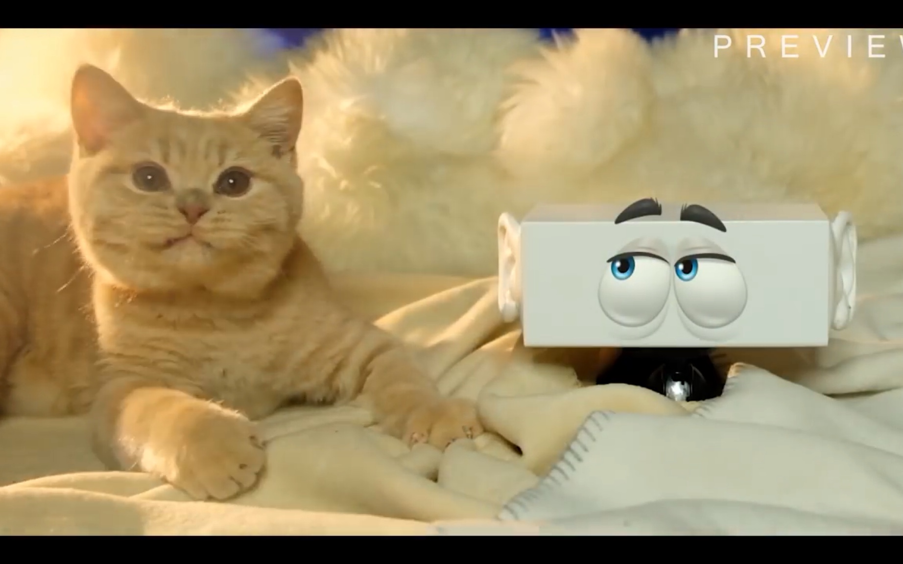 助眠rzeitgeist猫舔麦吃东西抚摸猫毛