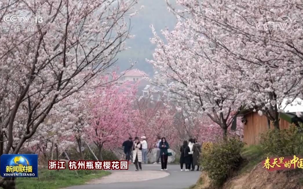 [图]大美中国20230309繁花似锦春满神州