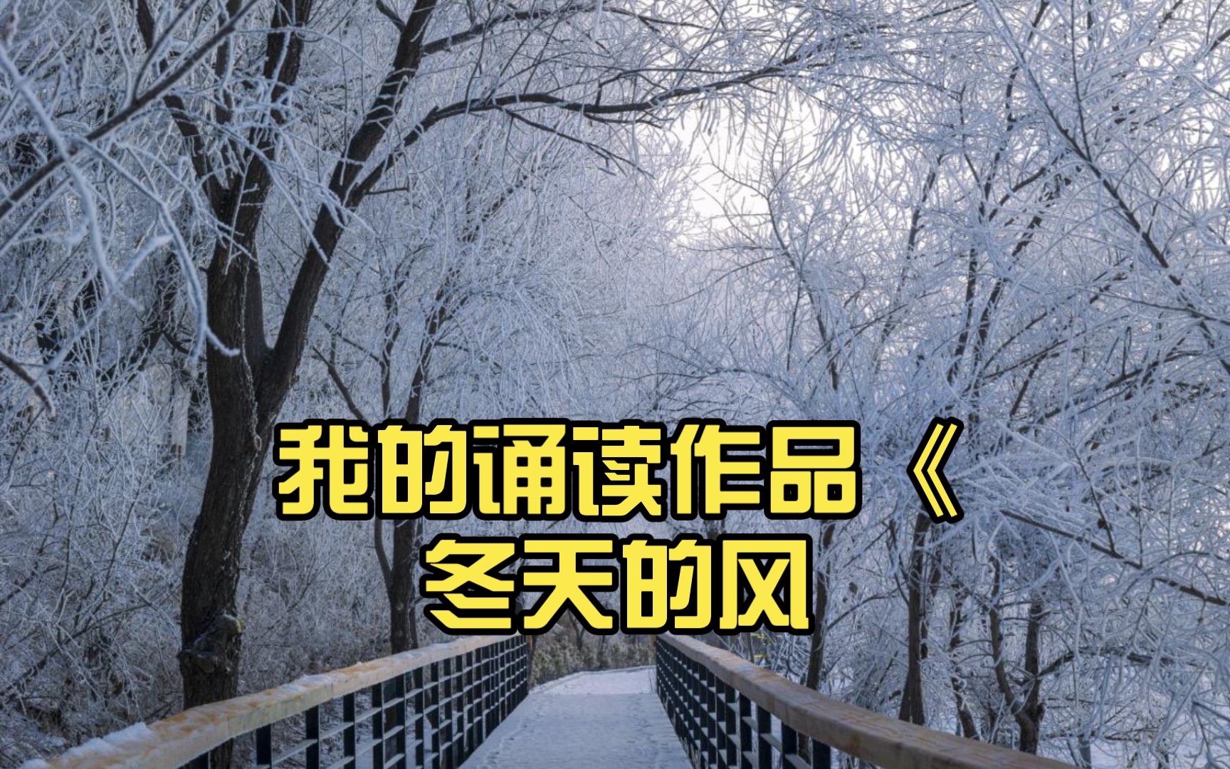 我的诵读作品《冬天的风,拂去了岁月》