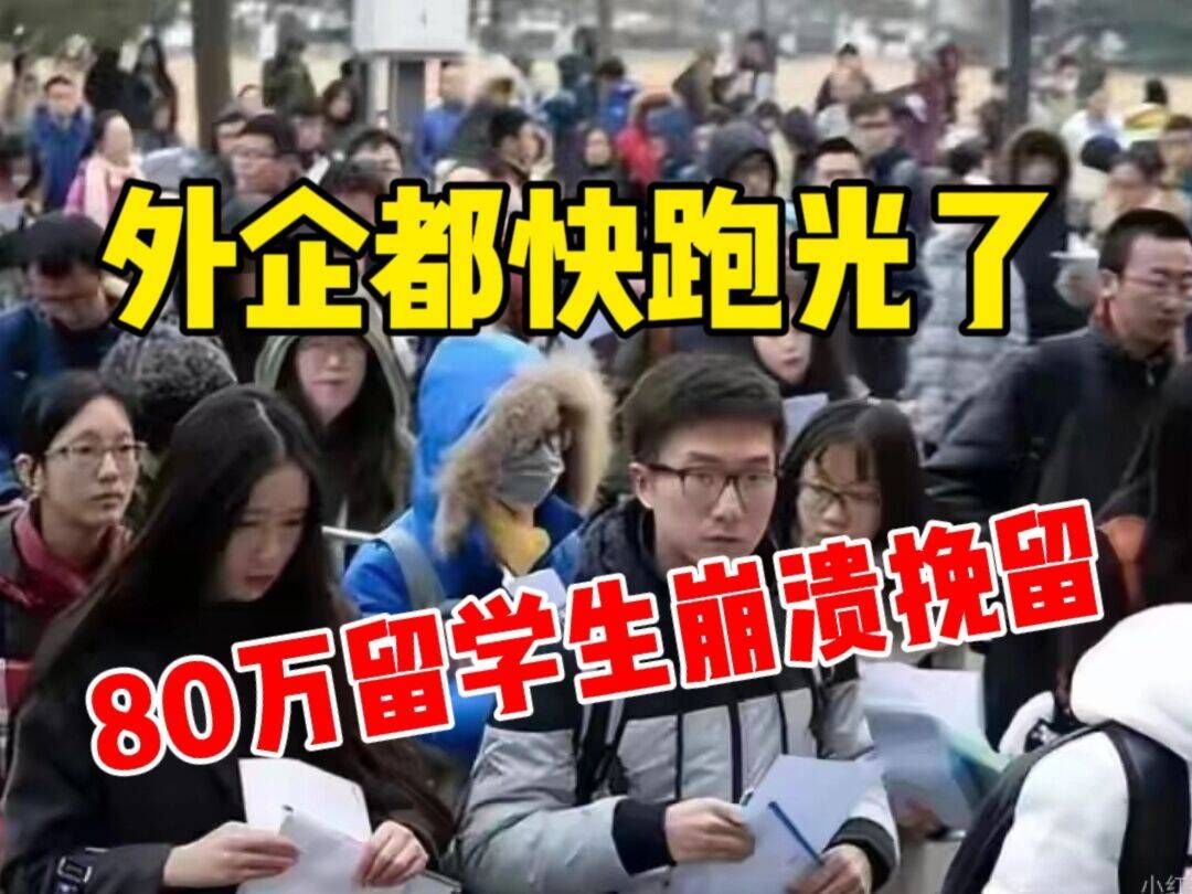 南京LG大规模裁撤,大量外企撤资!国有企业不在录用留学生!80万留学生崩溃挽留,我们该去哪里就业?哔哩哔哩bilibili