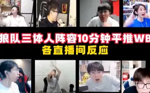 Download Video: 狼队三体人阵容10分钟平推WB各直播间反应，拖米：五排撞车职业队了！