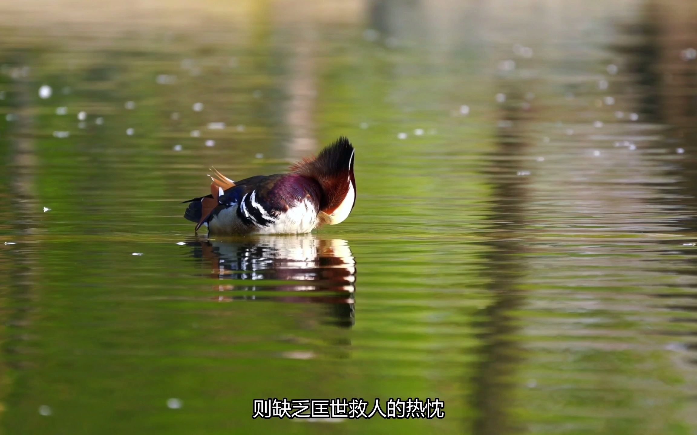 [图]《菜根谭》：忧勤是美德，太苦则无以适性怡情；澹泊是高风，太枯则无以济人利物。