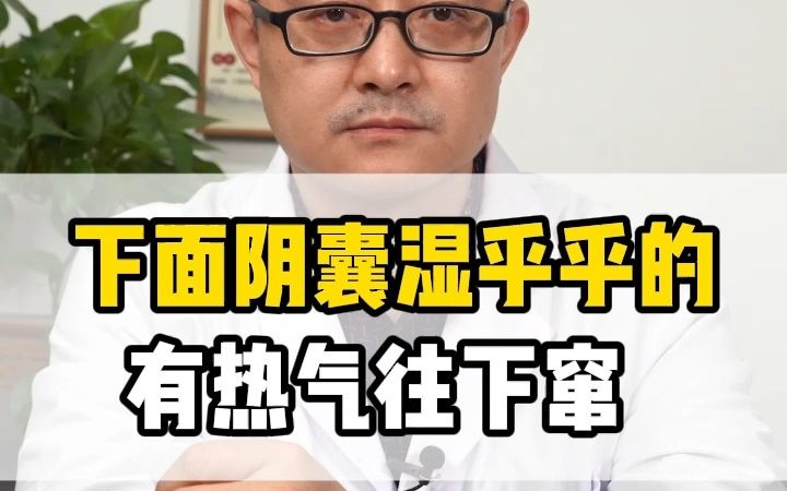 下面阴囊湿乎乎的,像有了加湿器,男科专家告诉你怎么回事?哔哩哔哩bilibili