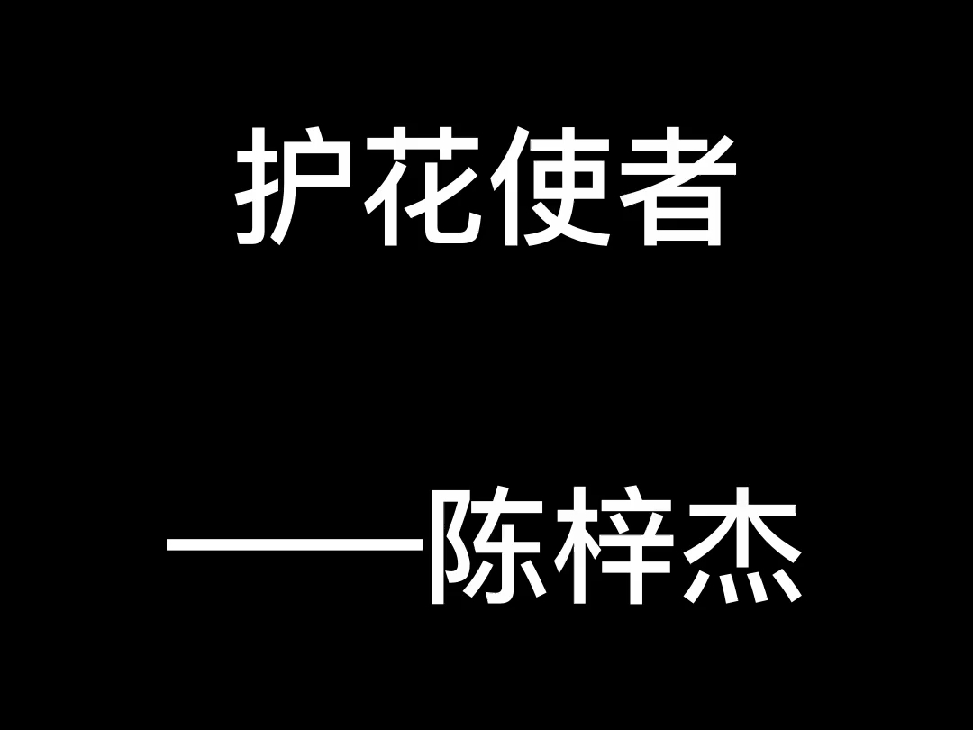 护花使者陈梓杰哔哩哔哩bilibili