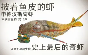 Download Video: 【古生物】最后的奇虾 申德汉斯奇虾 木偶古生物16期