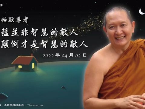 想蘊並非智慧的敵人,想顛倒才是智慧的敵人——隆波帕默尊者|2022年04