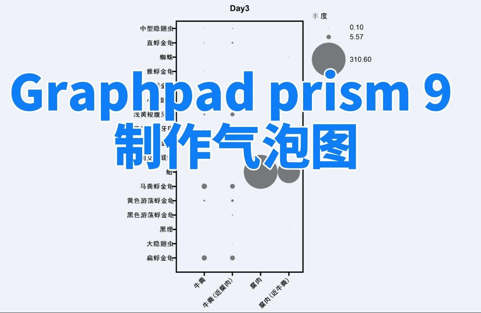 GraphPad Prism 9制作气泡图哔哩哔哩bilibili