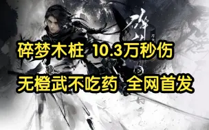 Download Video: 【徐长卿】碎梦木桩10.3万秒伤 无橙武不吃药 全网首发