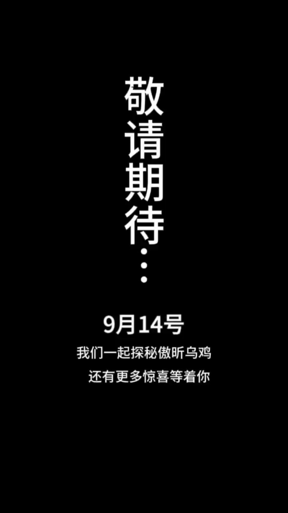 傲昕乌鸡揭秘:黑羽珍禽,养生新宠!哔哩哔哩bilibili